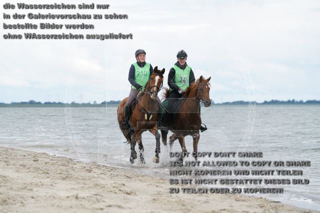 s_K3F04986.JPG